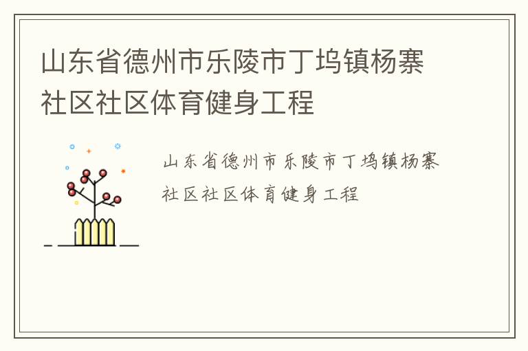 山東省德州市樂陵市丁塢鎮楊寨社區社區體育健身工程