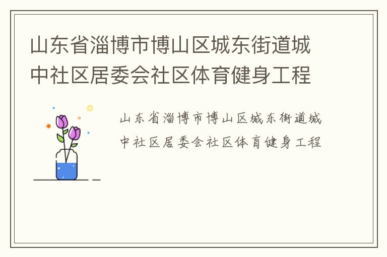 山東省淄博市博山區城東街道城中社區居委會社區體育健身工程