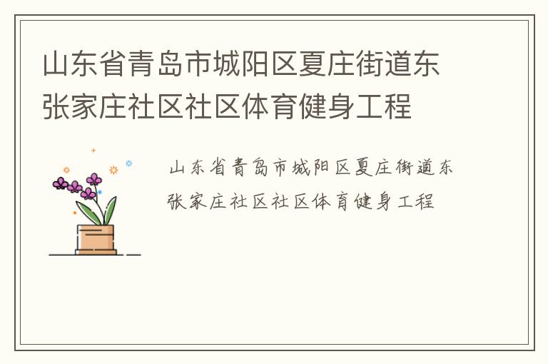 山東省青島市城陽區夏莊街道東張家莊社區社區體育健身工程