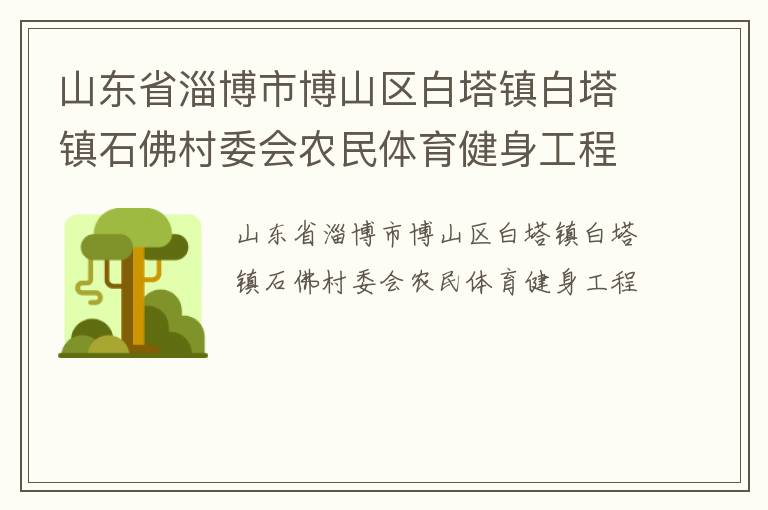山東省淄博市博山區白塔鎮白塔鎮石佛村委會農民體育健身工程