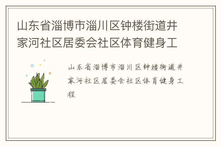 山東省淄博市淄川區鐘樓街道井家河社區居委會社區體育健身工程