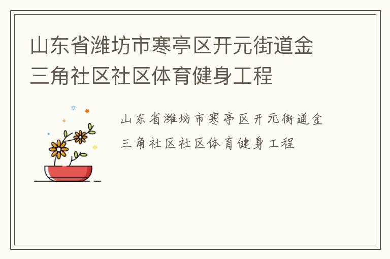 山東省濰坊市寒亭區開元街道金三角社區社區體育健身工程
