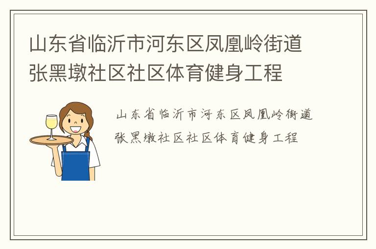 山東省臨沂市河東區鳳凰嶺街道張黑墩社區社區體育健身工程