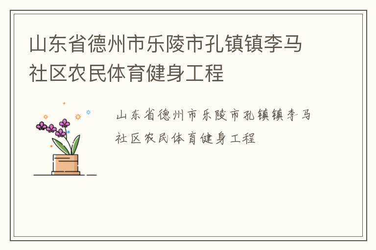 山東省德州市樂陵市孔鎮鎮李馬社區農民體育健身工程