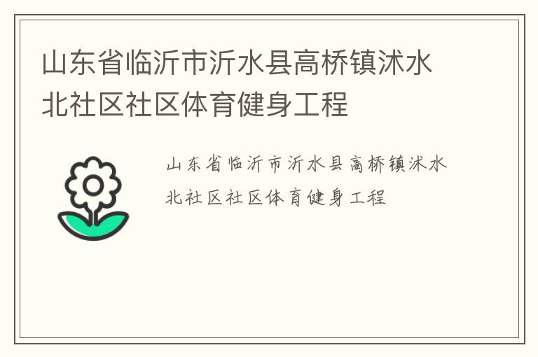 山東省臨沂市沂水縣高橋鎮沭水北社區社區體育健身工程