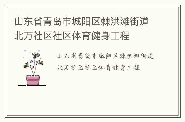山東省青島市城陽區棘洪灘街道北萬社區社區體育健身工程