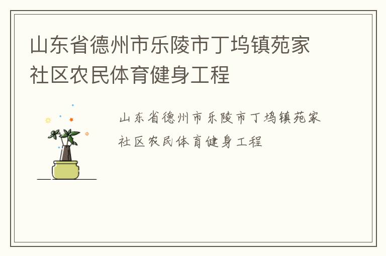 山東省德州市樂陵市丁塢鎮苑家社區農民體育健身工程