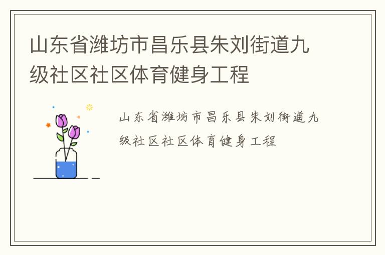 山東省濰坊市昌樂縣朱劉街道九級社區社區體育健身工程