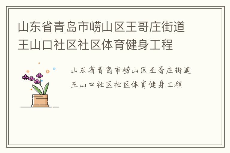 山東省青島市嶗山區王哥莊街道王山口社區社區體育健身工程