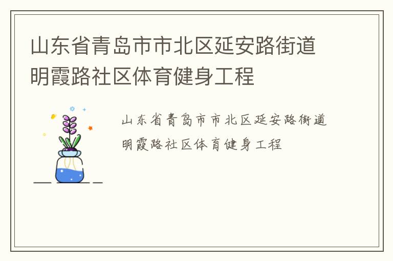 山東省青島市市北區延安路街道明霞路社區體育健身工程