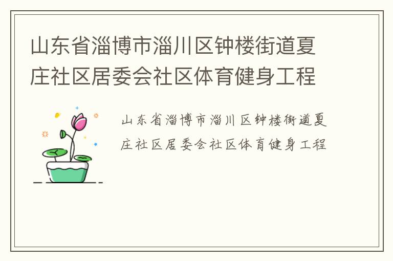 山東省淄博市淄川區鐘樓街道夏莊社區居委會社區體育健身工程