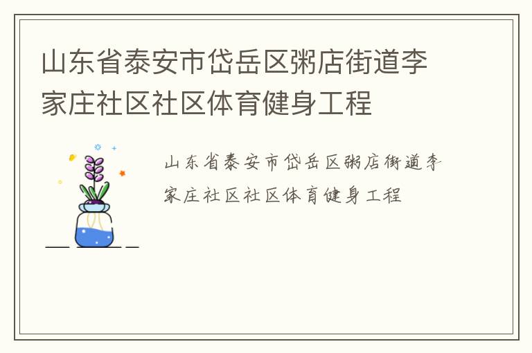 山東省泰安市岱岳區粥店街道李家莊社區社區體育健身工程