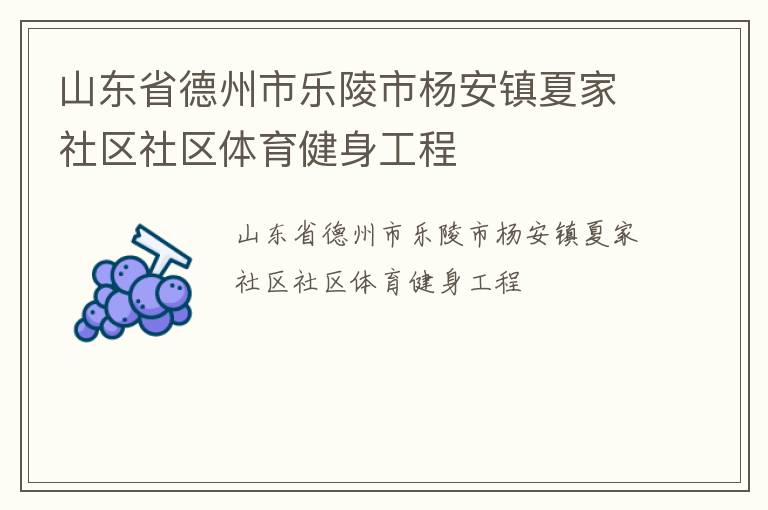 山東省德州市樂陵市楊安鎮夏家社區社區體育健身工程