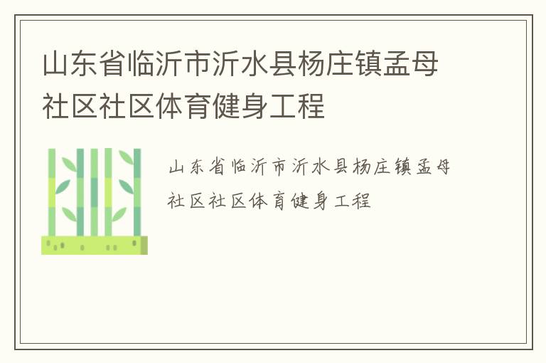 山東省臨沂市沂水縣楊莊鎮孟母社區社區體育健身工程