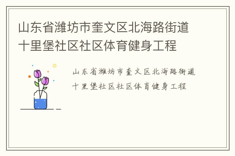 山東省濰坊市奎文區北海路街道十里堡社區社區體育健身工程