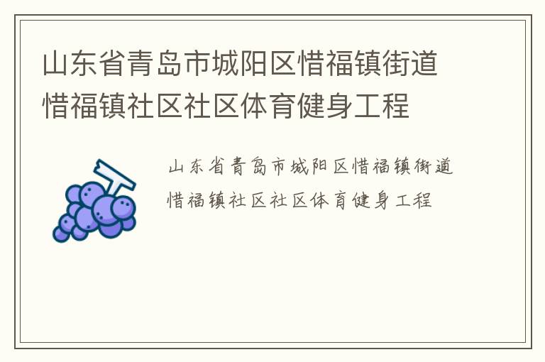 山東省青島市城陽區惜福鎮街道惜福鎮社區社區體育健身工程