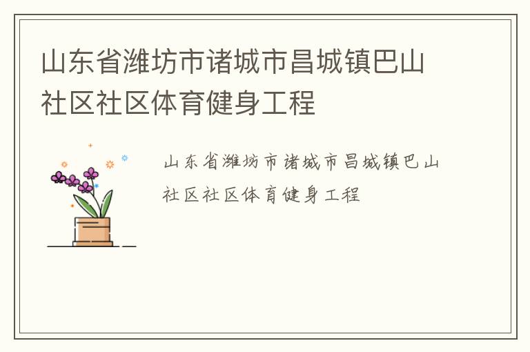 山東省濰坊市諸城市昌城鎮巴山社區社區體育健身工程