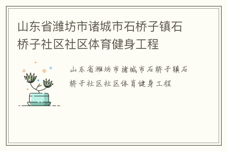山東省濰坊市諸城市石橋子鎮石橋子社區社區體育健身工程