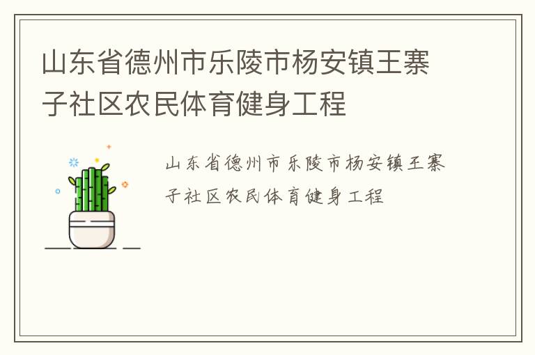 山東省德州市樂陵市楊安鎮王寨子社區農民體育健身工程
