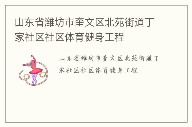 山東省濰坊市奎文區北苑街道丁家社區社區體育健身工程