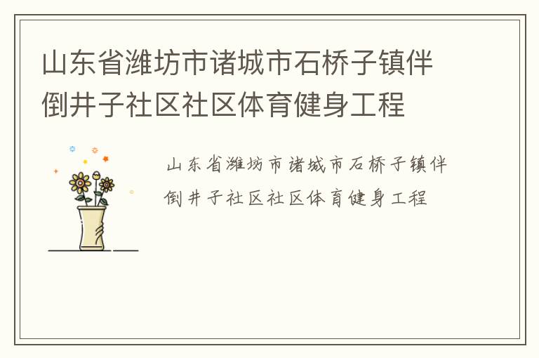 山東省濰坊市諸城市石橋子鎮伴倒井子社區社區體育健身工程