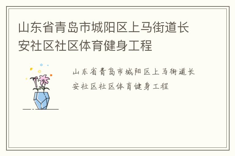 山東省青島市城陽區上馬街道長安社區社區體育健身工程