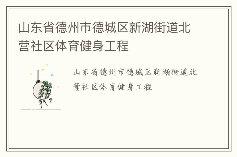 山東省德州市德城區新湖街道北營社區體育健身工程