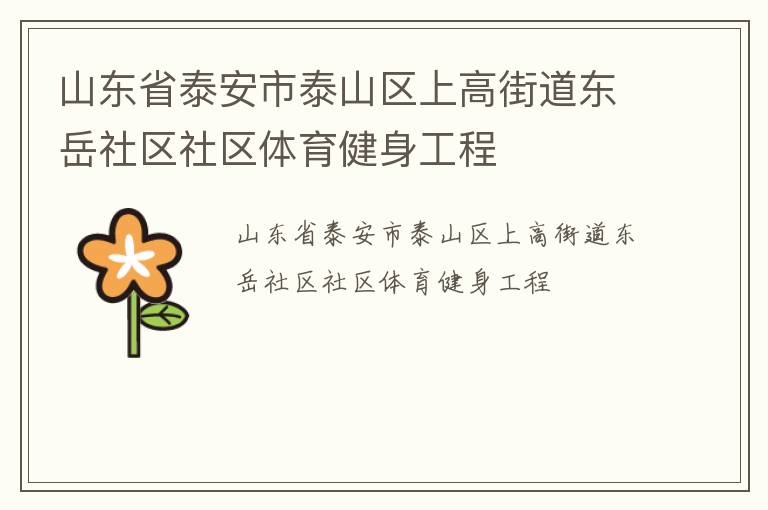 山東省泰安市泰山區上高街道東岳社區社區體育健身工程