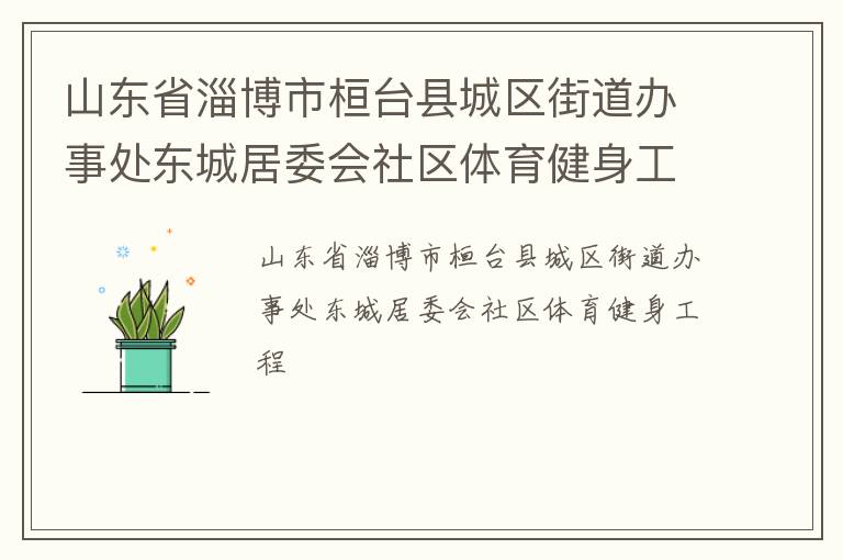 山東省淄博市桓臺縣城區街道辦事處東城居委會社區體育健身工程