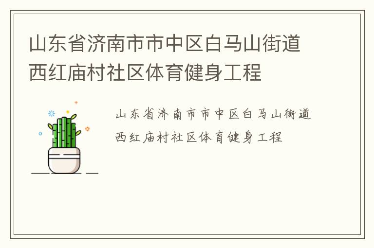 山東省濟南市市中區(qū)白馬山街道西紅廟村社區(qū)體育健身工程