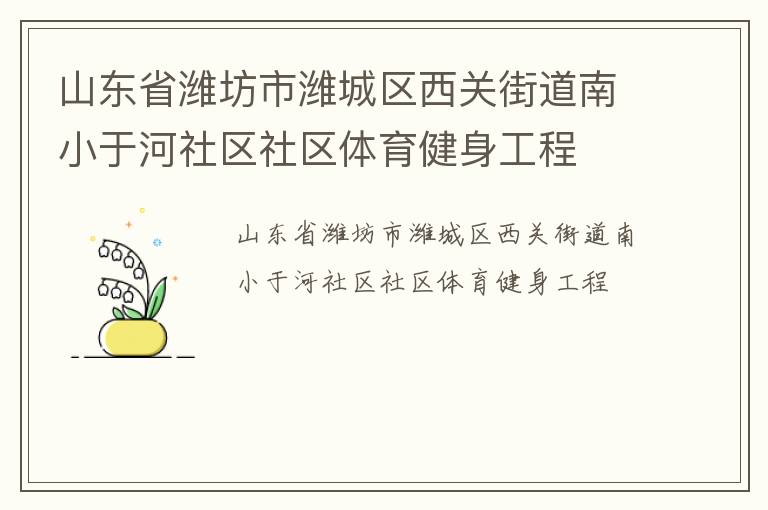 山東省濰坊市濰城區西關街道南小于河社區社區體育健身工程