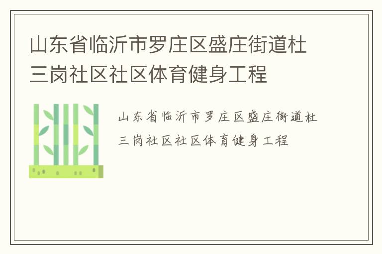 山東省臨沂市羅莊區盛莊街道杜三崗社區社區體育健身工程