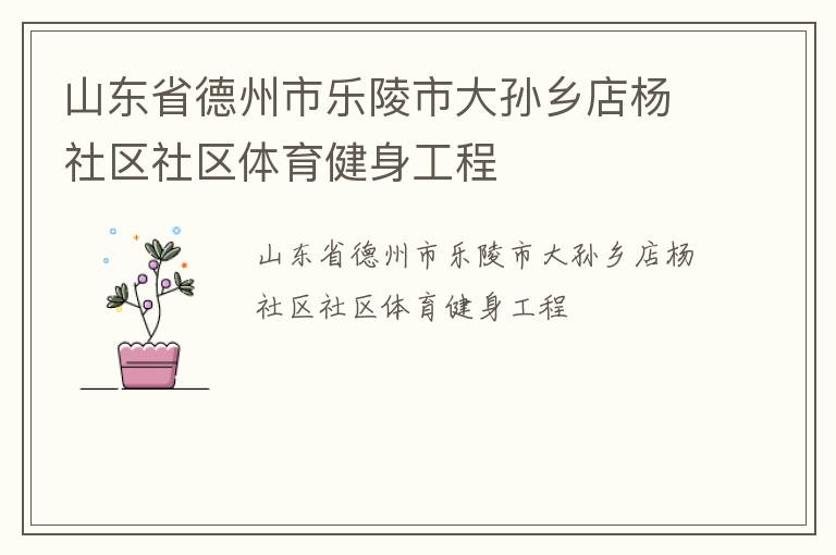 山東省德州市樂陵市大孫鄉店楊社區社區體育健身工程