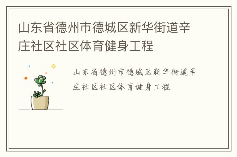 山東省德州市德城區新華街道辛莊社區社區體育健身工程