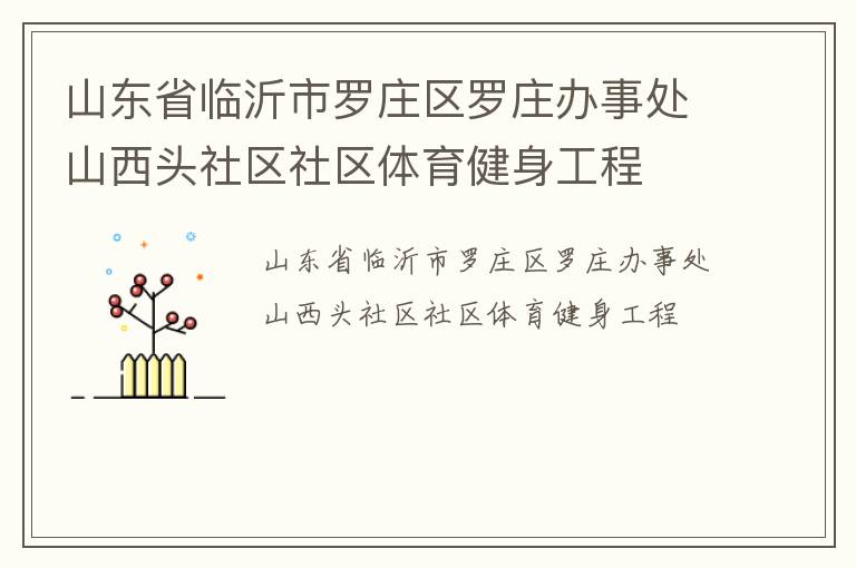 山東省臨沂市羅莊區羅莊辦事處山西頭社區社區體育健身工程