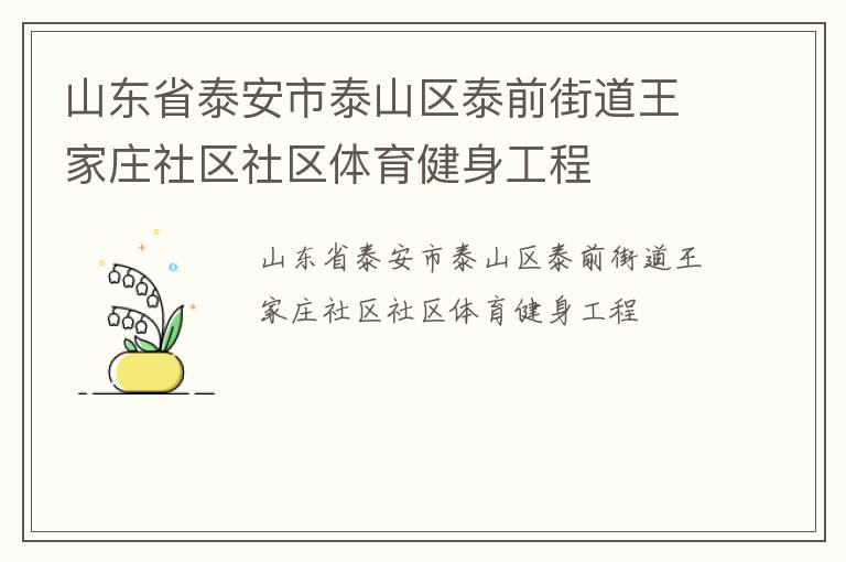 山東省泰安市泰山區泰前街道王家莊社區社區體育健身工程