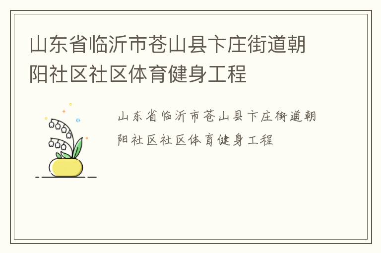 山東省臨沂市蒼山縣卞莊街道朝陽社區社區體育健身工程
