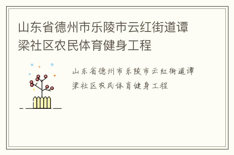 山東省德州市樂陵市云紅街道譚梁社區農民體育健身工程