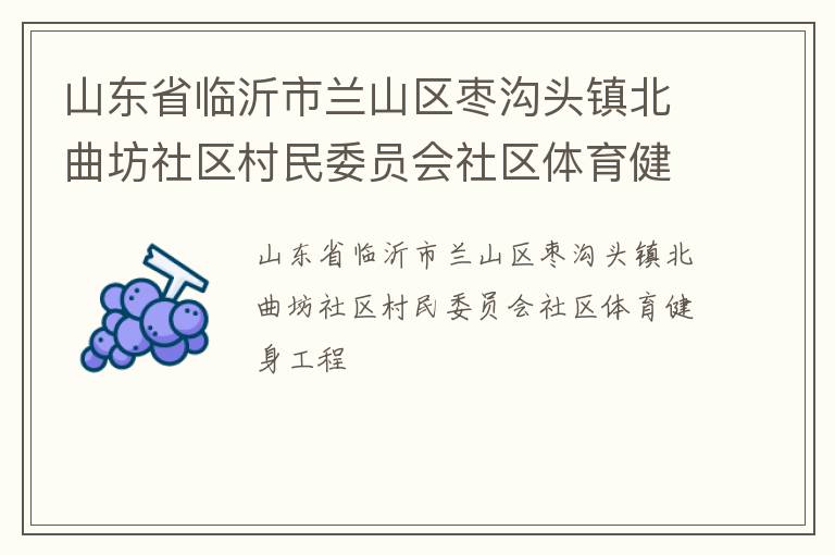 山東省臨沂市蘭山區棗溝頭鎮北曲坊社區村民委員會社區體育健身工程