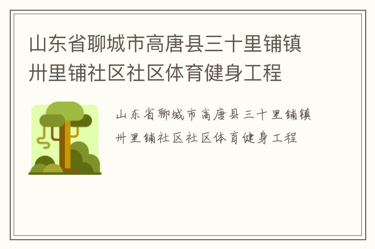 山東省聊城市高唐縣三十里鋪鎮卅里鋪社區社區體育健身工程
