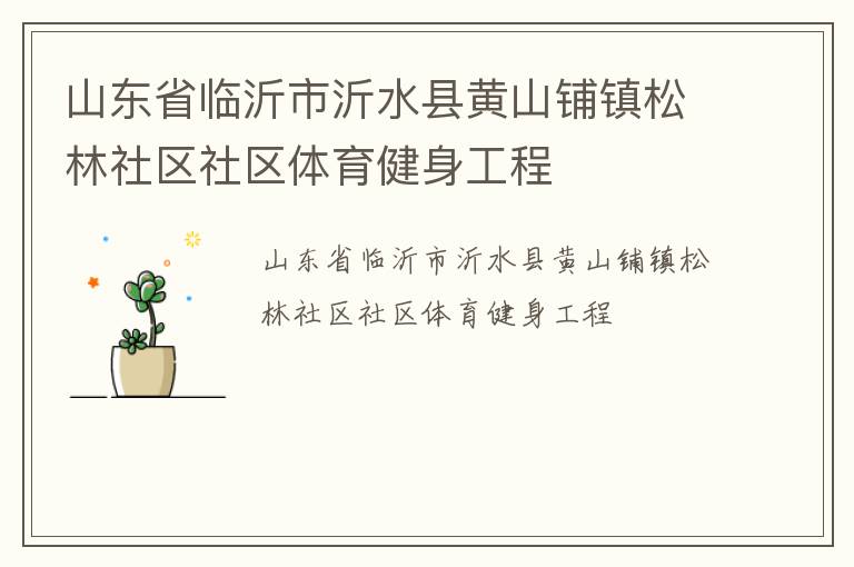 山東省臨沂市沂水縣黃山鋪鎮松林社區社區體育健身工程