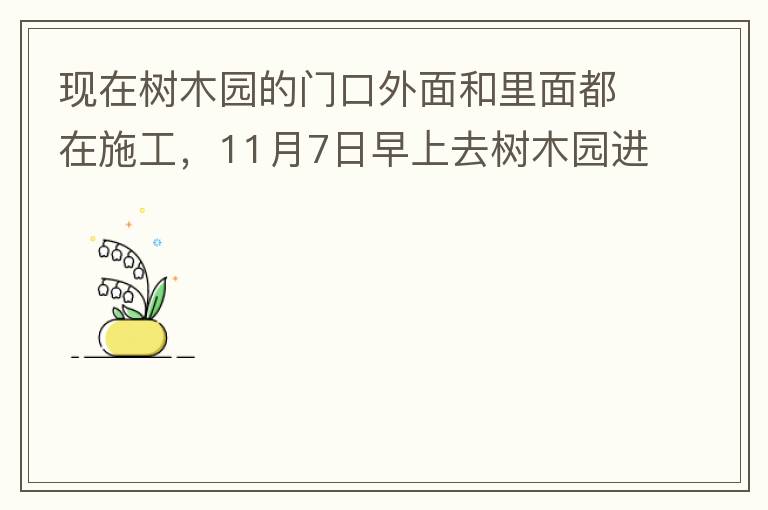 現(xiàn)在樹(shù)木園的門(mén)口外面和里面都在施工，11月7日早上去樹(shù)木園進(jìn)行戶外活動(dòng)，在出入口都是非常大的灰塵，有挖掘機(jī)等機(jī)械在施工，但是周?chē)际腔覊m，施工方?jīng)]有做好防塵措施，而且我們走的時(shí)候，竟然還有一個(gè)人拿著掃