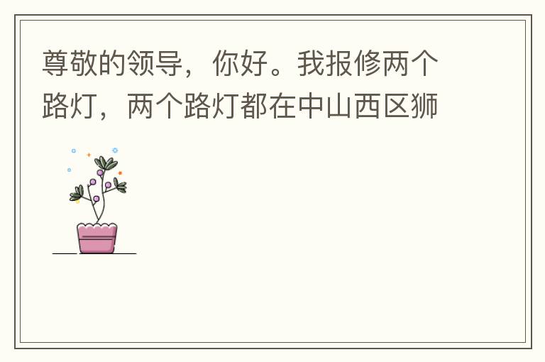 尊敬的領導，你好。我報修兩個路燈，兩個路燈都在中山西區獅滘口大橋。1.富華往濱江一號，下橋倒數第二支路燈已經損壞。 2.濱江一號往富華方向，下橋最后一支路燈已經損壞。麻煩及時修復，減少意外的發生。謝謝