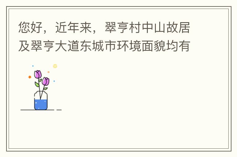 您好，近年來，翠亨村中山故居及翠亨大道東城市環境面貌均有所提升。但周邊環境仍然不夠理想，稍顯臟亂差，與5A風景區的定位不相協調，望繼續盡快改善為宜。多謝