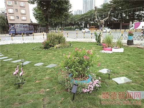 黨建引領，黨群共建美麗鄉村