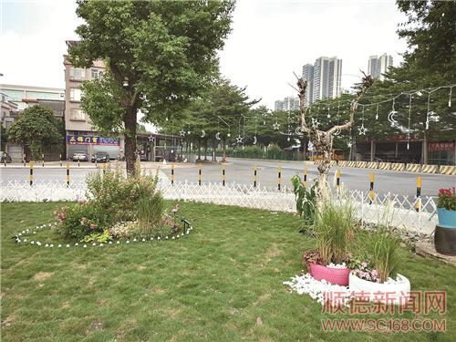 黨建引領，黨群共建美麗鄉村