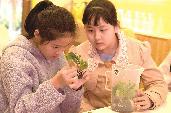 小小種子館 科創大舞臺