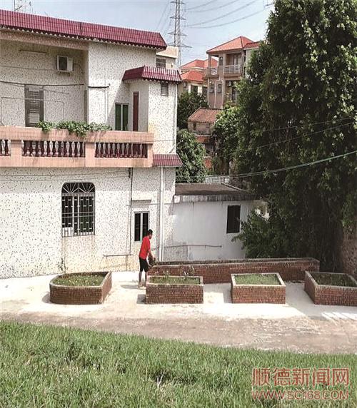 黨建引領，黨群共建美麗鄉村