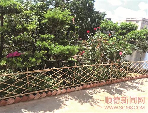 區城鄉品質提升攻堅隊以督導推動問題整改