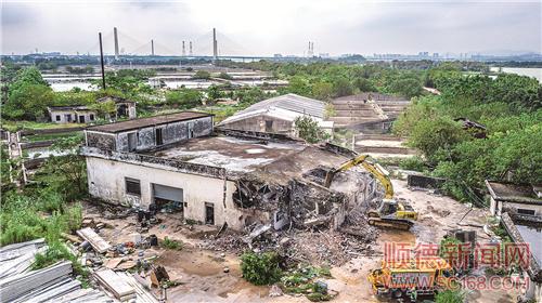 順德區河湖“清四亂”專項行動現場會在均安召開
